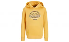 JACK & JONES LOGO SWEAT HOODIE JUNIOR