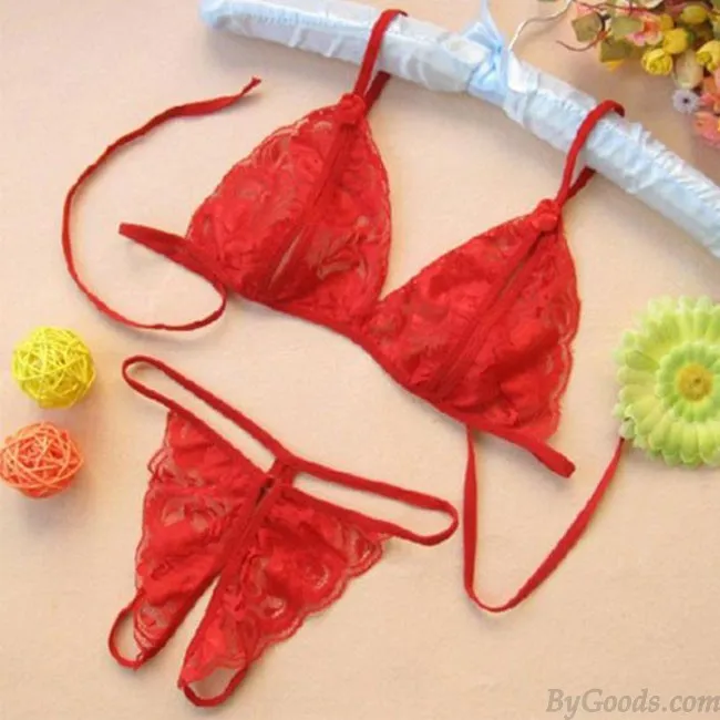 Sexy Women's Lace See Through Underwear Lace Mesh Sleepwear Lingerie 